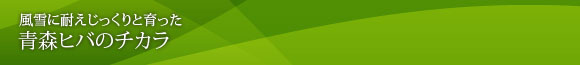 青森ヒバのチカラ